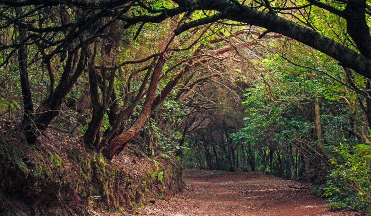 Villa Almendro Arico Viejo Esterno foto